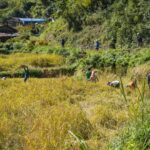 2024-10 - Népal - J04 - De Tolka à Ghandruk - 094